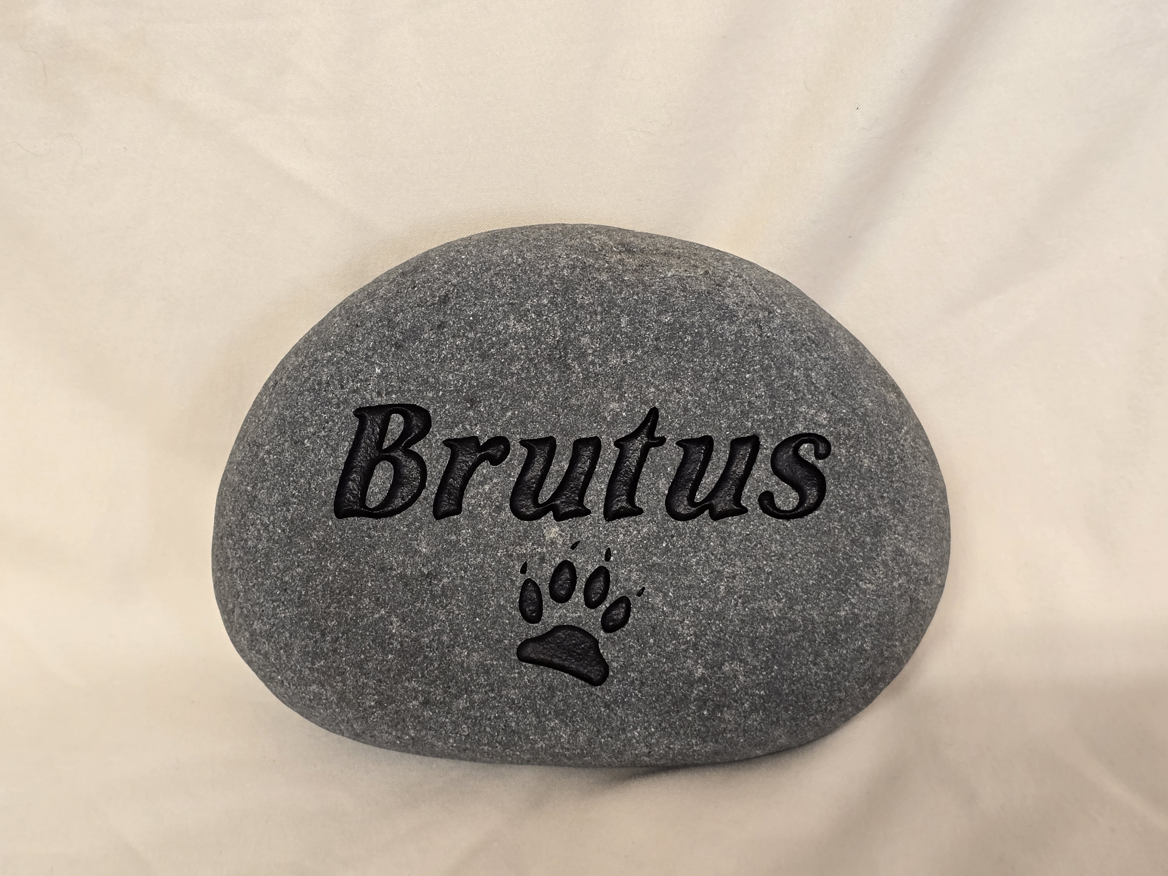 Brutus Dog Paw